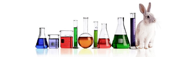 Kémia és biológia emelt érettségi felkészítő kurzusok - lvlUP